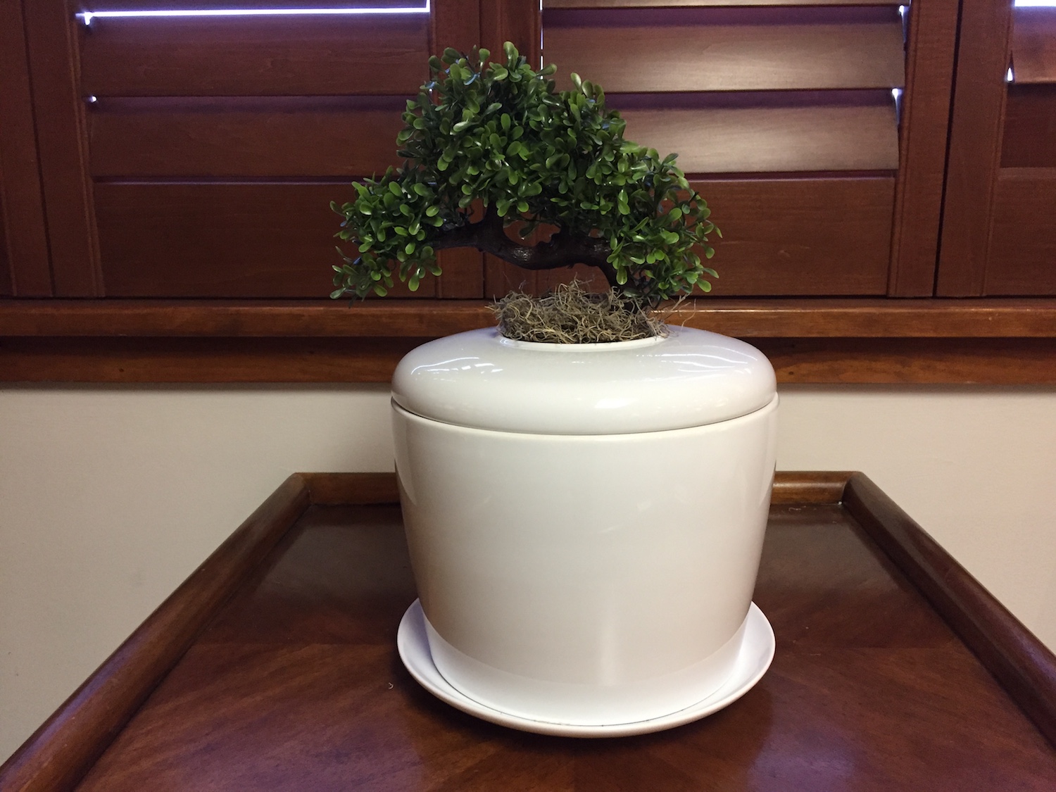 Bonsai Urn | Berardinelli Funeral Home