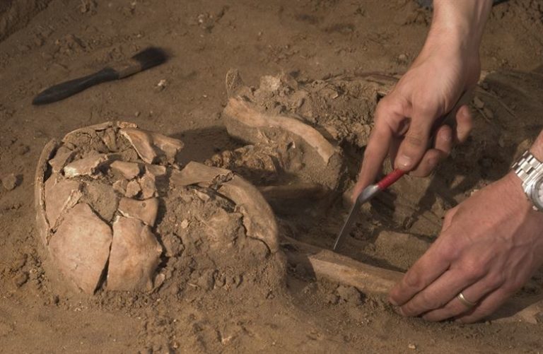 Archaeologist Identifies Sex of Skeleton