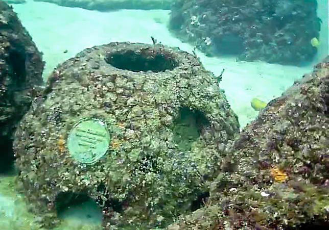 Memorial reefs