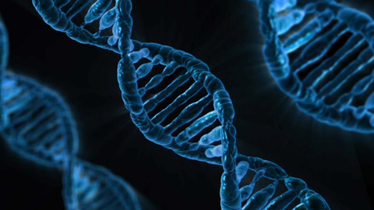 DNA Banking strand of DNA