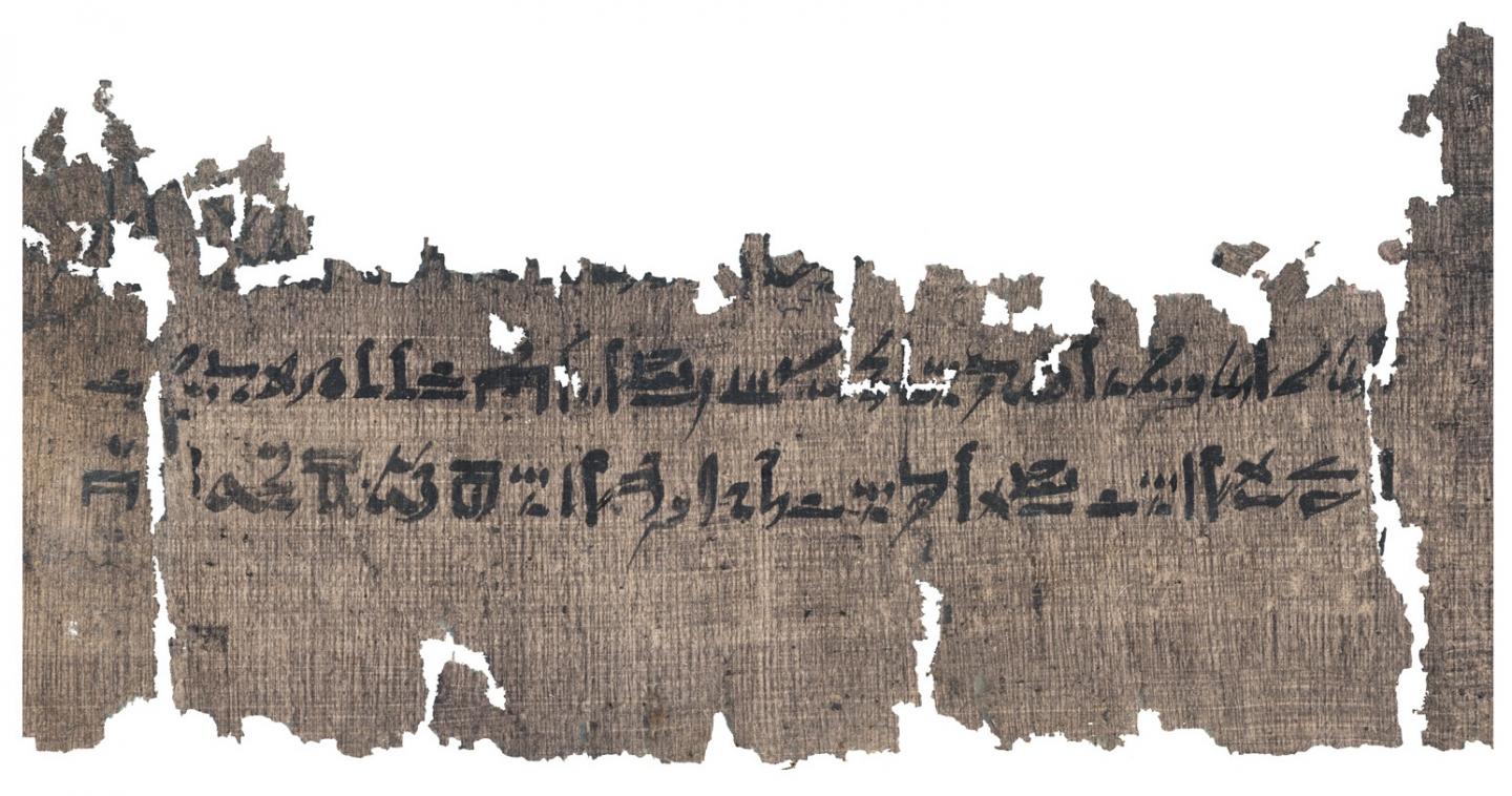Mummification Text