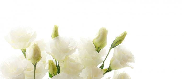 Heritage Funeral