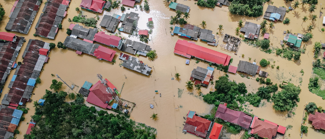 Handling Remains After Disaster