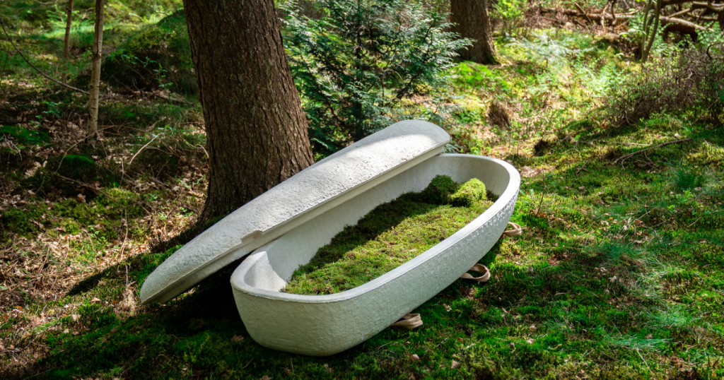 Mushroom Casket