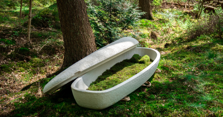 Mushroom Casket