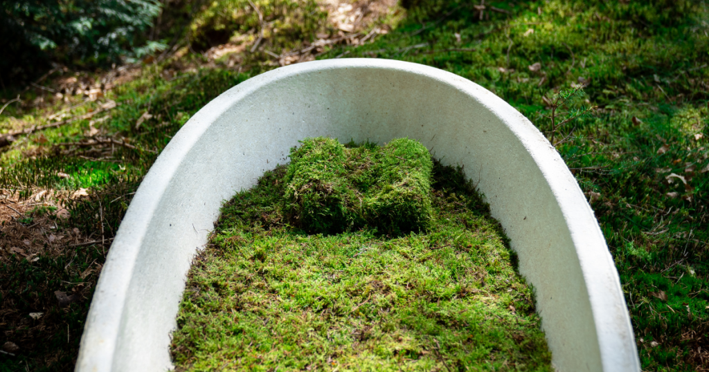Mushroom casket