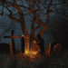 Necrotourism in Cemeteries