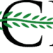 ICCFA Logo