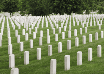 Veteran cemetery