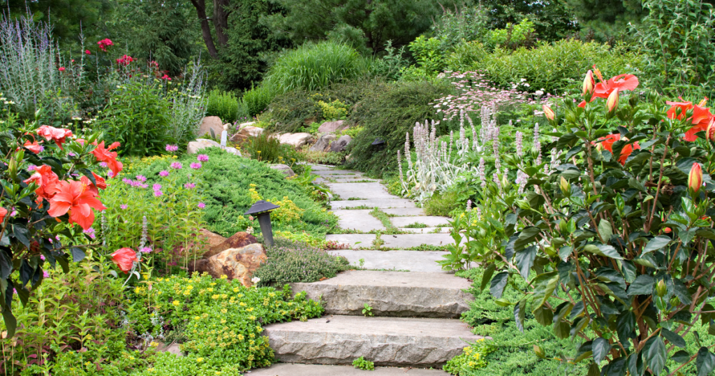 FLower garden Martha Stewart