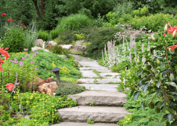 FLower garden Martha Stewart