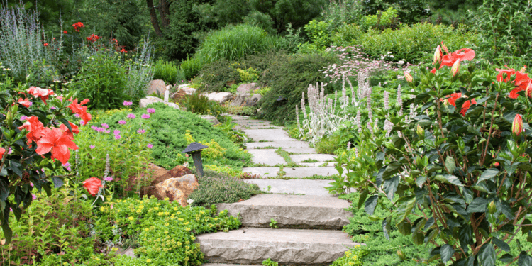 FLower garden Martha Stewart