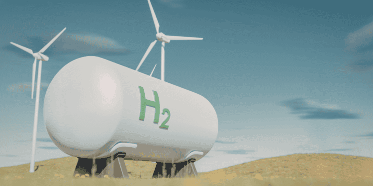 Hydrogen cremator