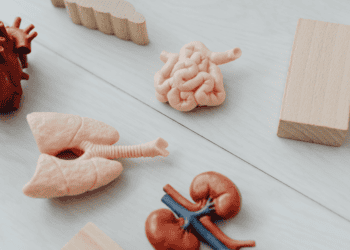 Body parts