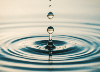 ripple effect of deathcare scandal
