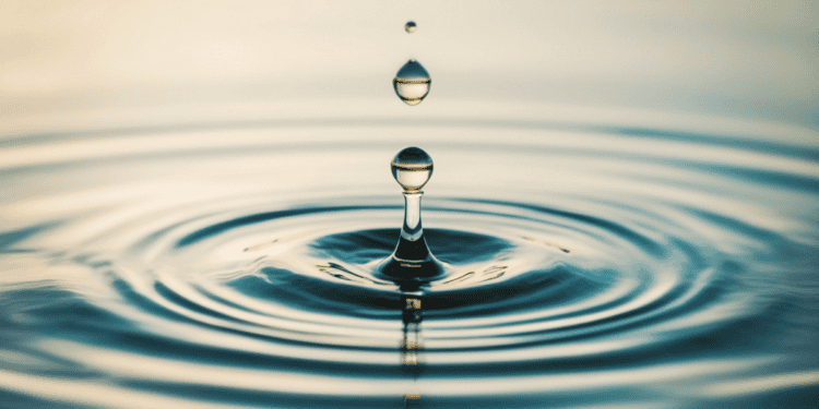 ripple effect of deathcare scandal