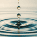 ripple effect of deathcare scandal