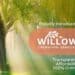 Heritage Family Launches Willow, a Modern Direct Cremation Brand Designed for Today’s Families