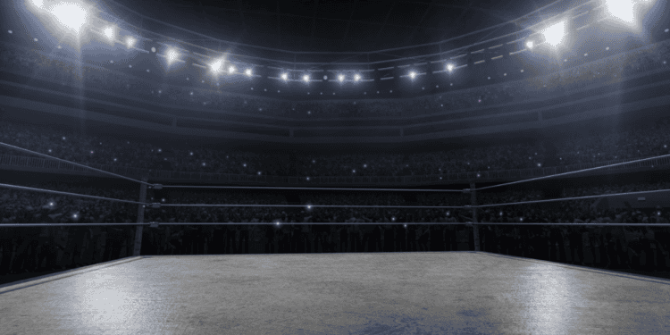 John Cena Wrestling Ring